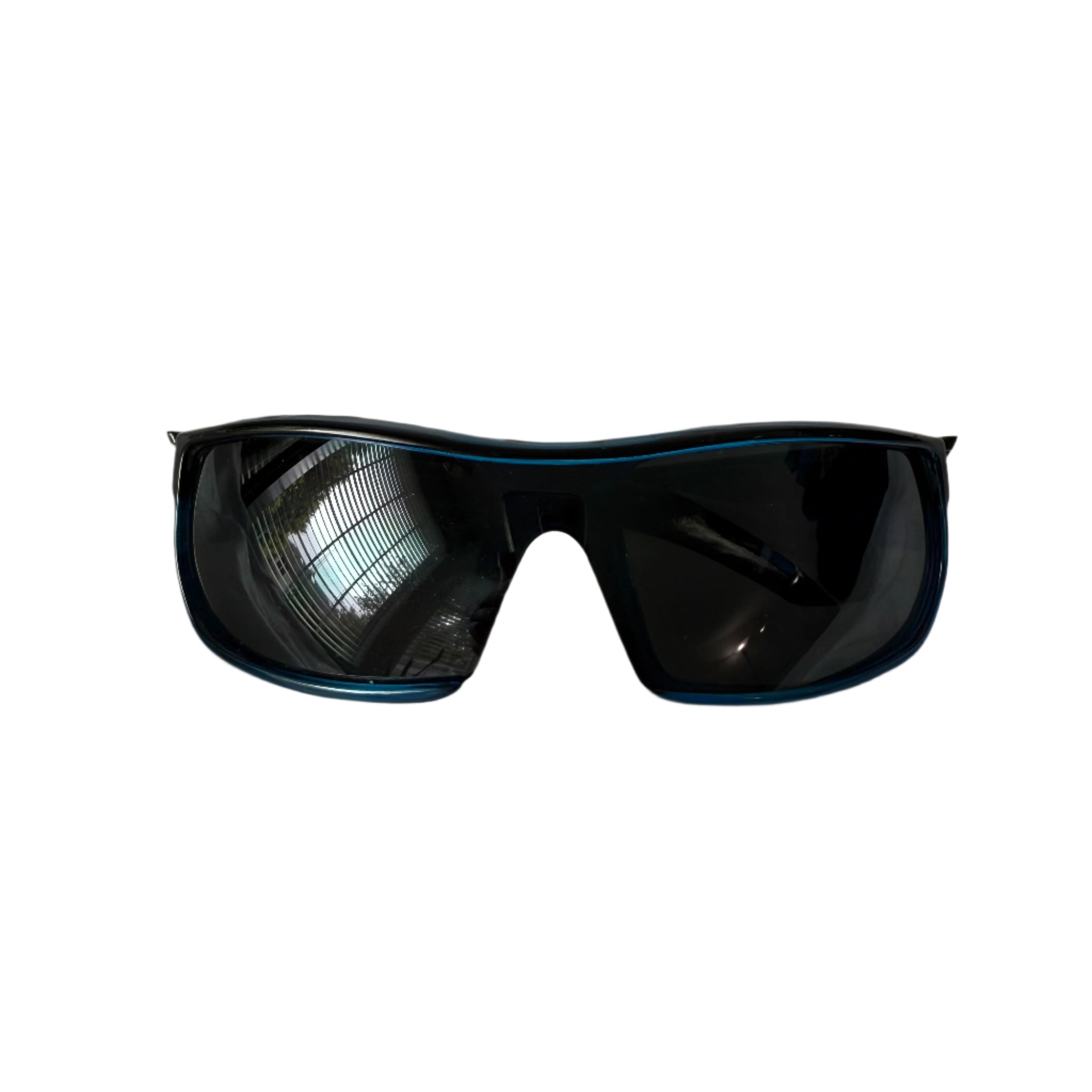 Choppers big frame sunglasses / OS