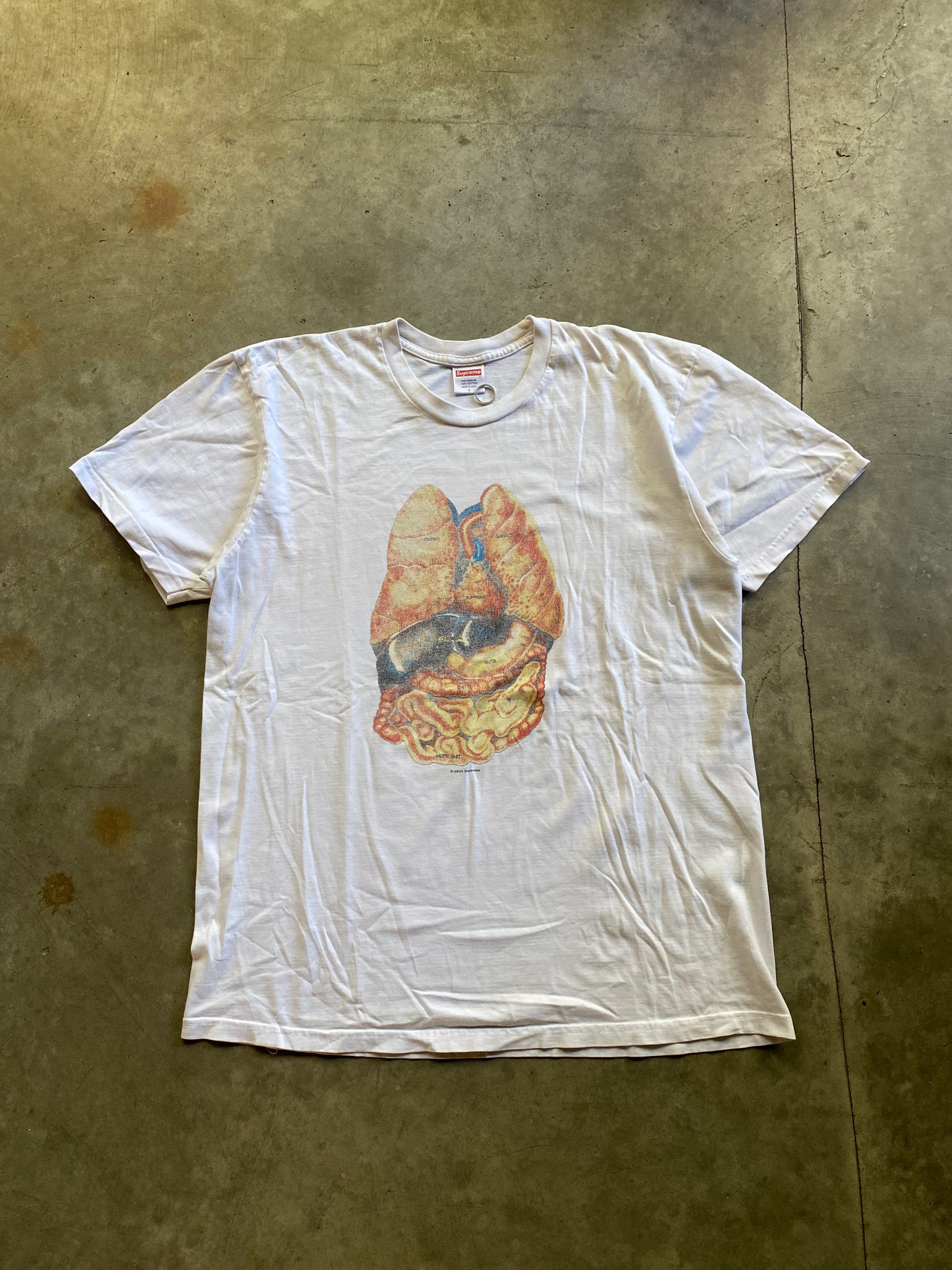 SUPREME BOWELS TEE / LARGE