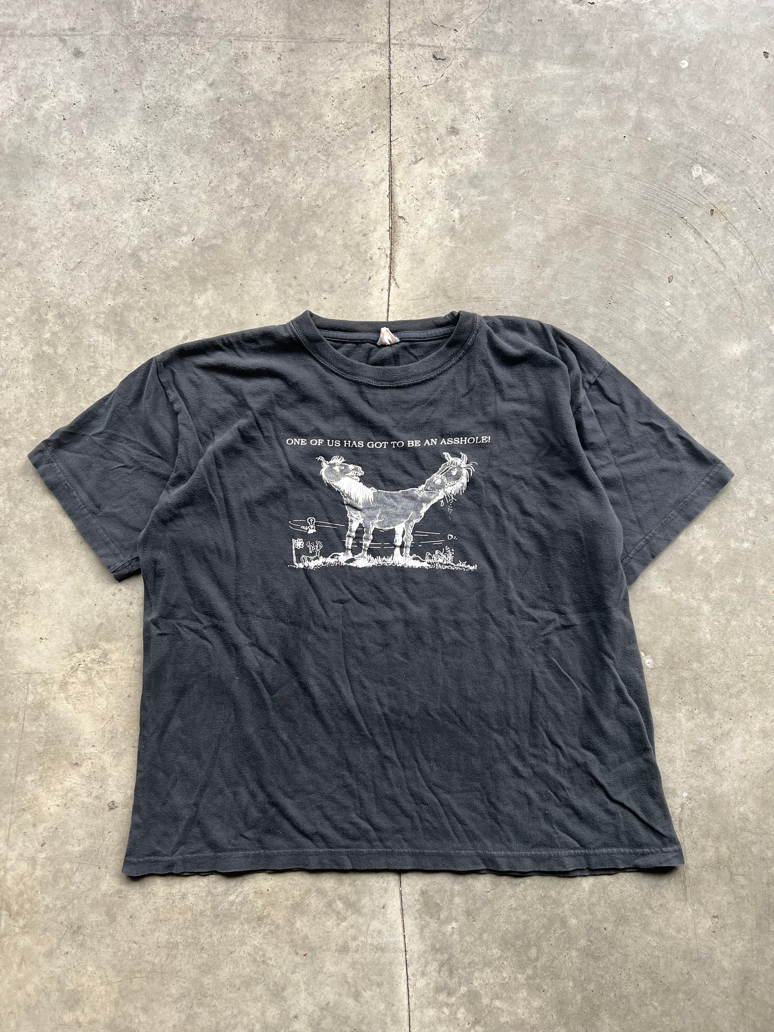 ASSHOLE HORSE TSHIRT / LARGE