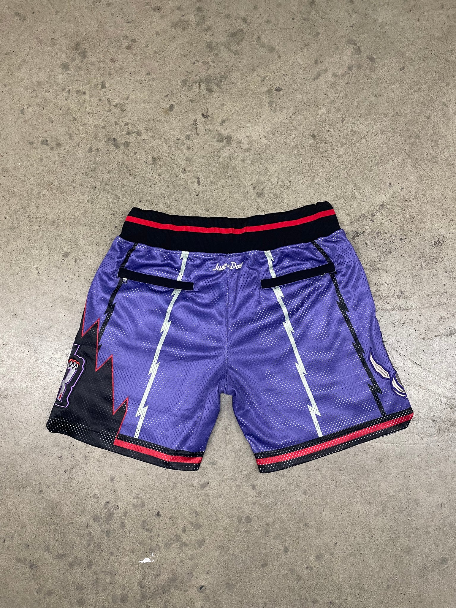 Just Don Raptors NBA Shorts / 34