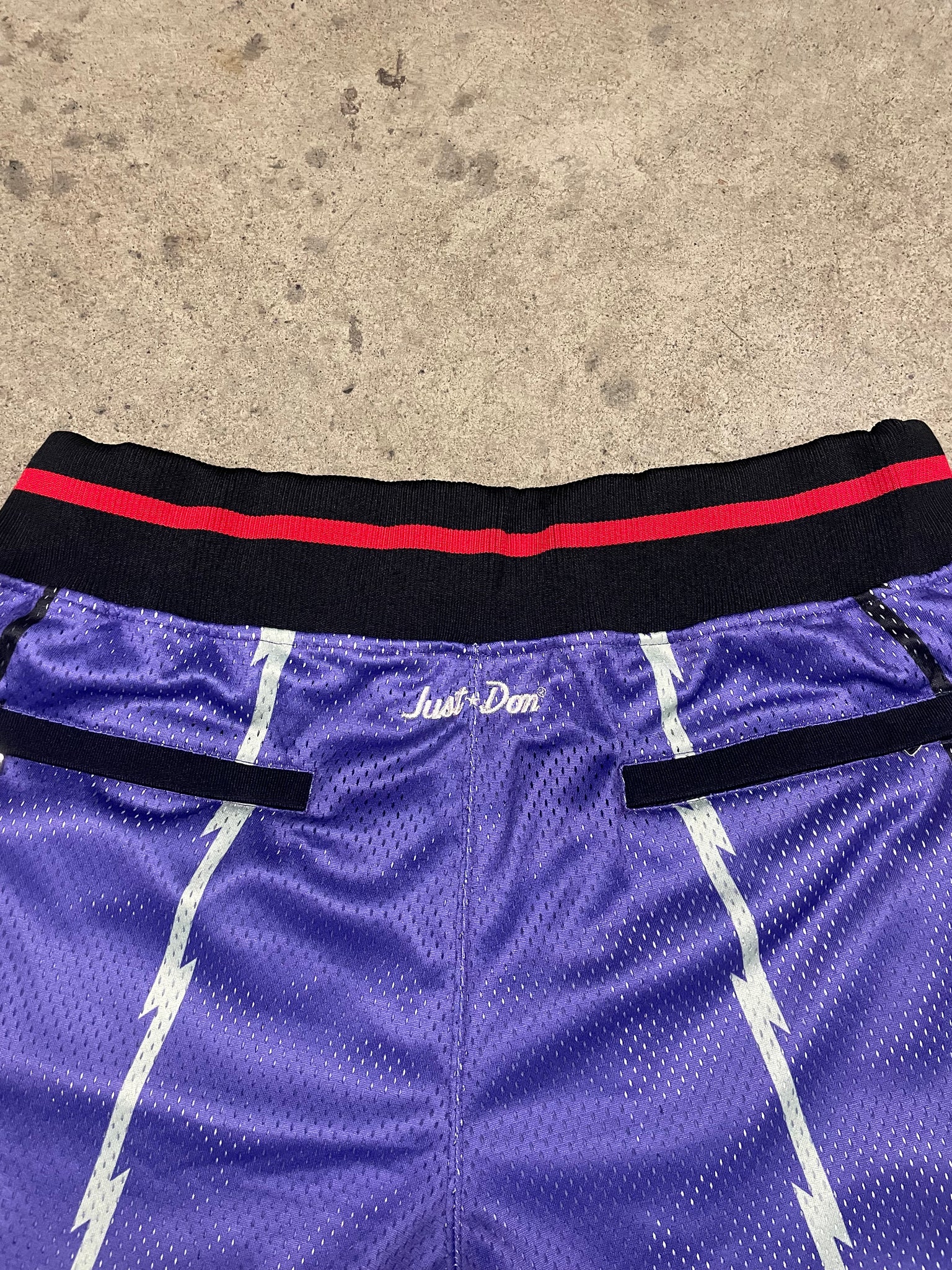 Just Don Raptors NBA Shorts / 34